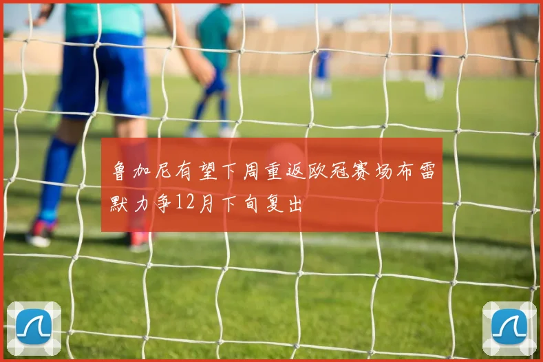 鲁加尼有望下周重返欧冠赛场布雷默力争12月下旬复出