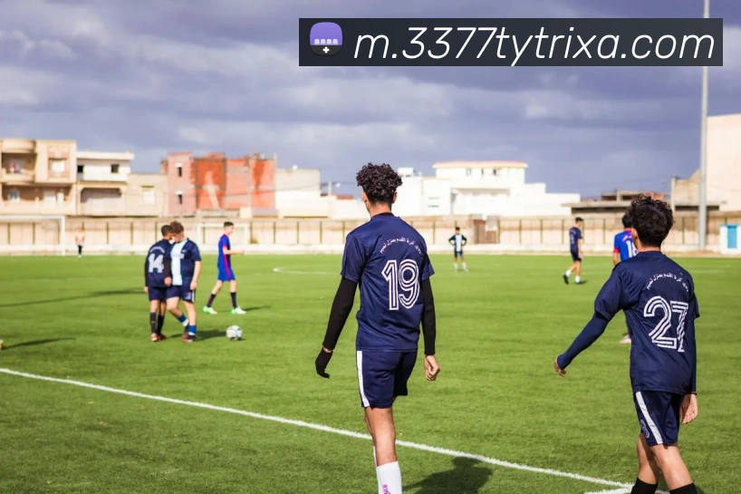 3377体育APP 封面图