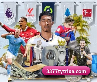 3377体育 APP(3377Sports)