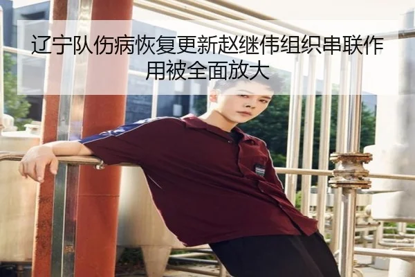辽宁队伤病恢复更新赵继伟组织串联作用被全面放大（3377Sports）